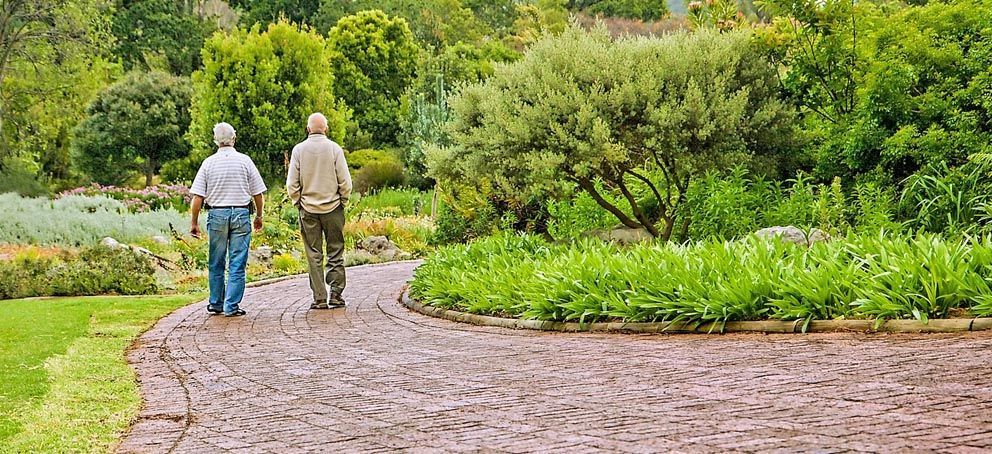 Residencias Ancianos Madrid Mejor Valoradas